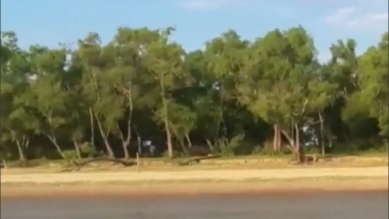 La playa del Paraná Viejo alambrada, según un video tomado desde el río.