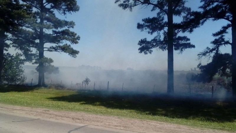 Fuego en el perímetro del campo en Andino. 