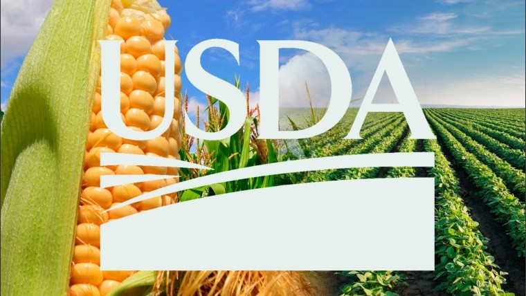 Informe USDA para la Soja y el Maíz