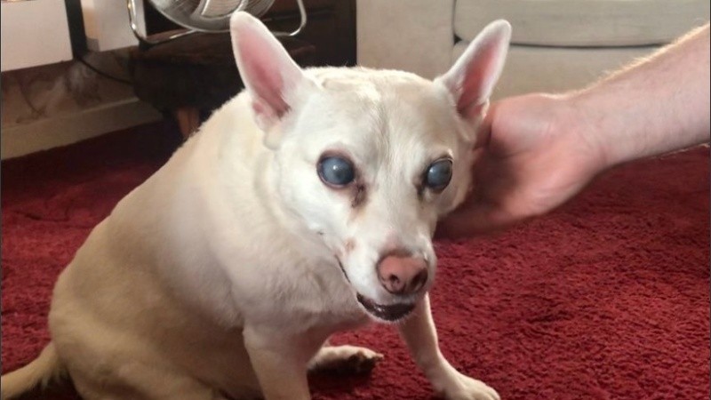 Cuatro años después de lo ocurrido, Suzy sigue sufriendo las secuelas.