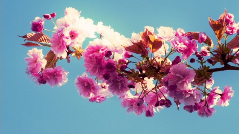 Un martes primaveral hasta el cielo. 