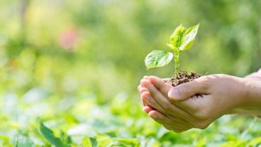 Para el Rector es importante que se pueda sistematizar y darle centralidad a toda la producción que diferentes actores de la UNR viene realizando en temas ambientales.