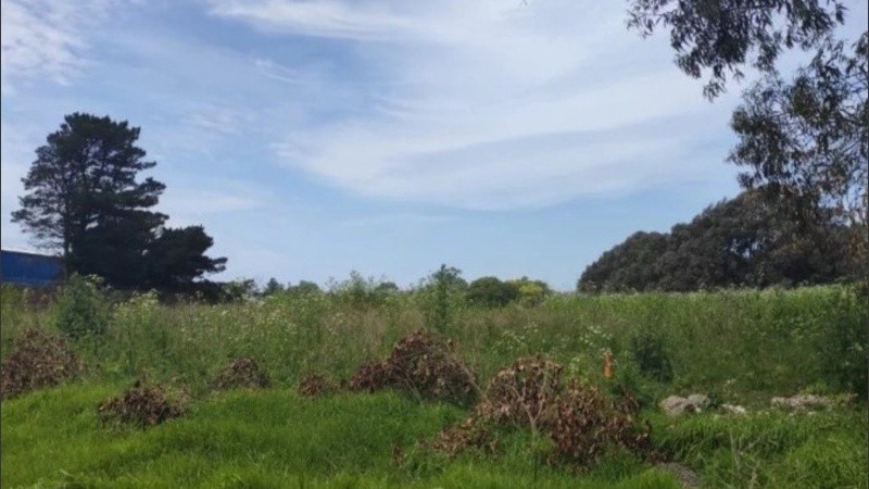 El descampado donde fue hallada Ana Laura. 