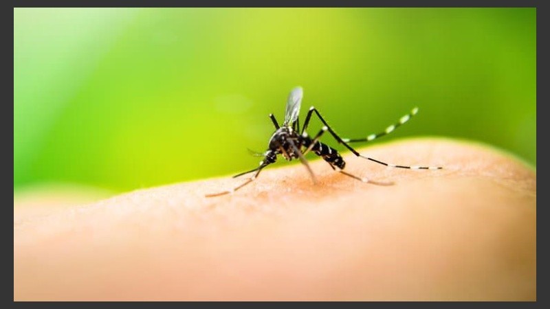  El descacharreo se debe mantener para evitar la propagación del dengue.