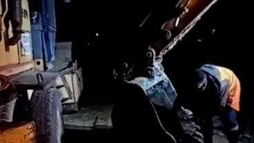 El perrito fue rescatado, recibió comida y un lugar seguro para calentarse.