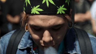 Uno de los requisitos para el empleo es contar con conocimientos del cannabis.