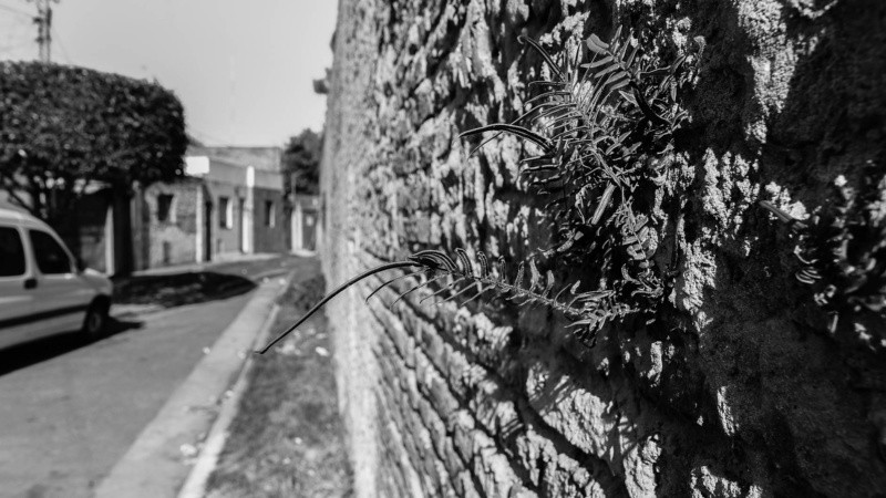 De un lado, las casas y del otro, el paredón del cementerio de Disidentes.