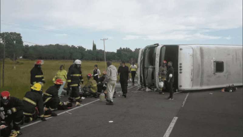 El análisis de alcoholemia del chofer dio negativo. 
