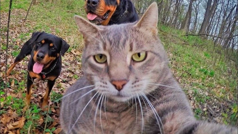 Manny cuenta con más de medio millón de seguidores.