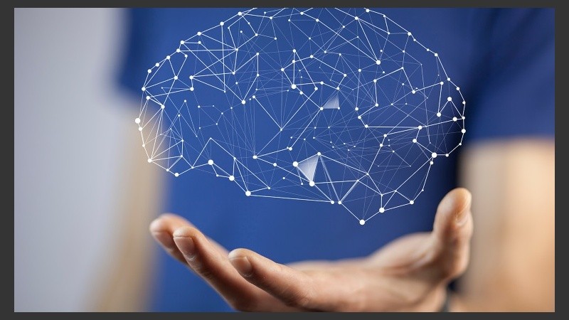 Las actividades a distancia se realizarán a través del Campus Virtual.