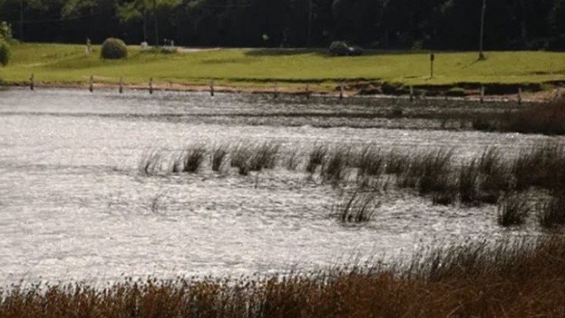 Las víctimas todavía no fueron identificadas.