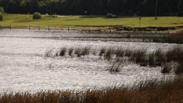 Las víctimas todavía no fueron identificadas.