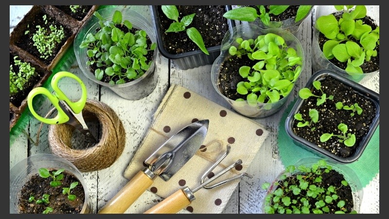 Se desarrollará este jueves 5 de diciembre de 9 a 11 de manera gratuita.