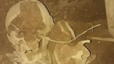 Los restos fueron puestos a resguardo para su posterior estudio científico.