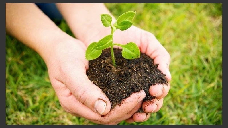 11 y 12 de diciembre de 2019.