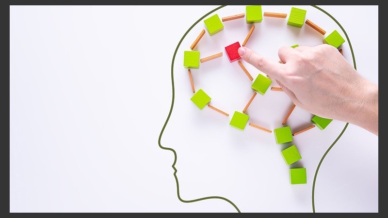 El cerebro emplea distintos tipos de memorias que actúan de forma simultánea.