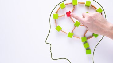 El cerebro emplea distintos tipos de memorias que actúan de forma simultánea.