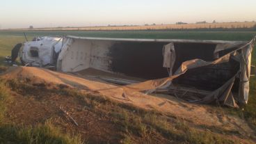 El camión despistó y perdió toda la carga.