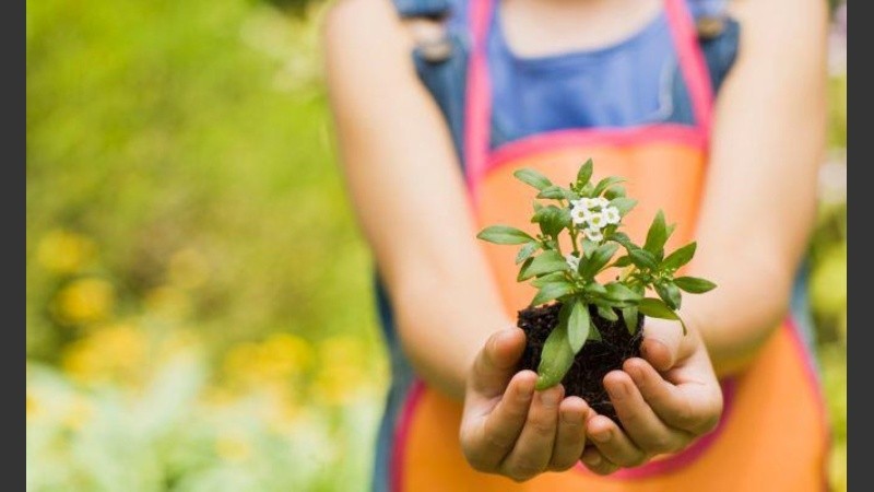 La duración es desde este 9 de diciembre 2019 hasta el 6 de marzo 2020 y la inscripción está abierta durante todo el período.