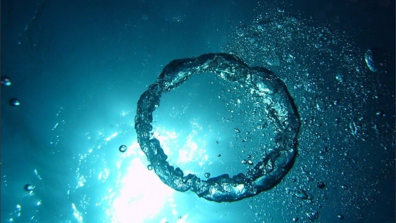 El nivel de oxígeno de los océanos disminuyó alrededor de un 2 por ciento desde la década de 1950.