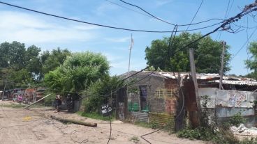 Los cables derrumbados por el camión.