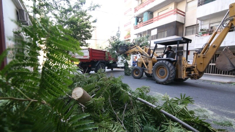 El viento alcanzó hasta 101 kilómetros por hora. 