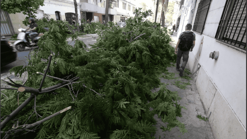 El viento alcanzó hasta 101 kilómetros por hora.