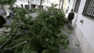 El viento alcanzó hasta 101 kilómetros por hora.