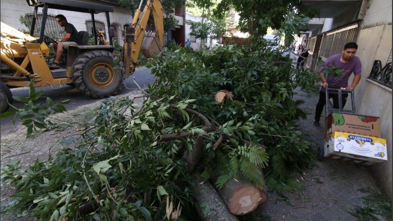 El viento alcanzó hasta 101 kilómetros por hora.