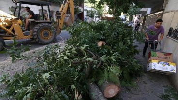 El viento alcanzó hasta 101 kilómetros por hora.
