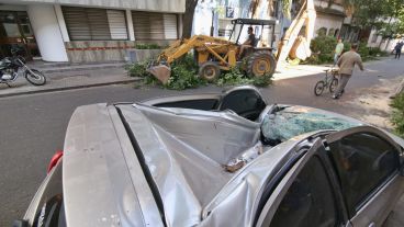 El viento alcanzó hasta 101 kilómetros por hora.