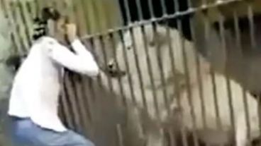 El cuidador del zoológico fue llevado rápidamente al hospital civil de Karachi.