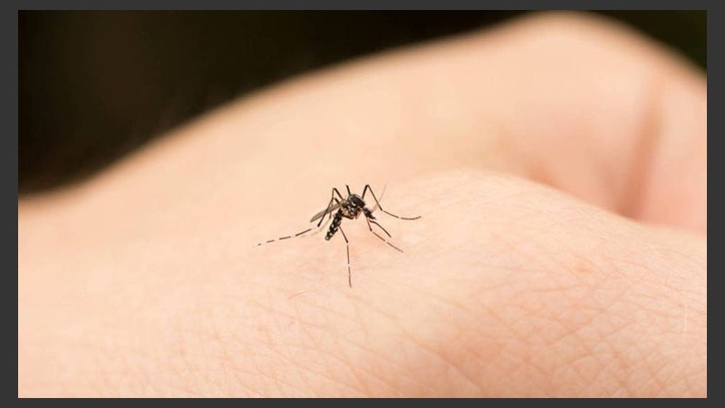 El deporte también incrementa las posibilidades de ser picado.