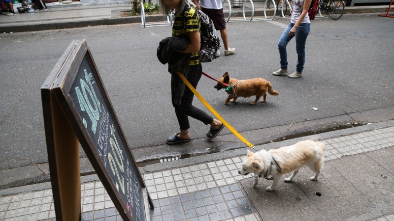Una gran cantidad de rosarinos pasó por el Paseo del Siglo este sábado.  