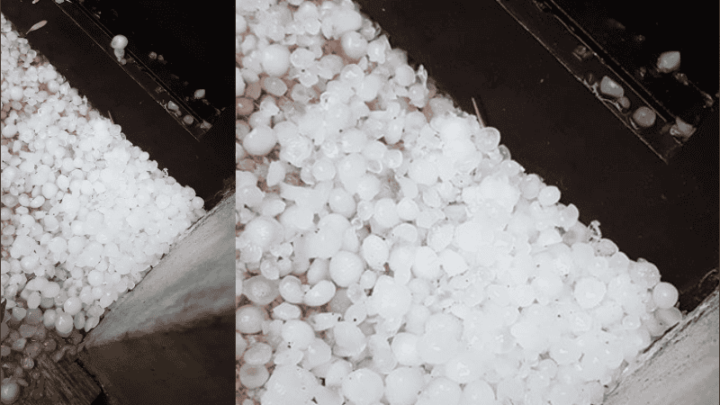 Foto de Daniela Torres para Rosario3.