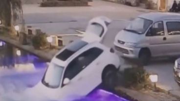 El animal terminó en el agua y fue rescatado.