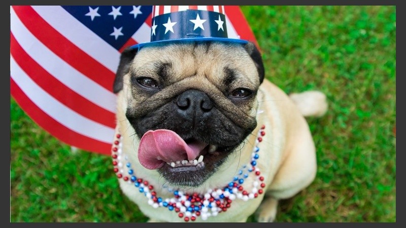 Doug ha traspasado fronteras.