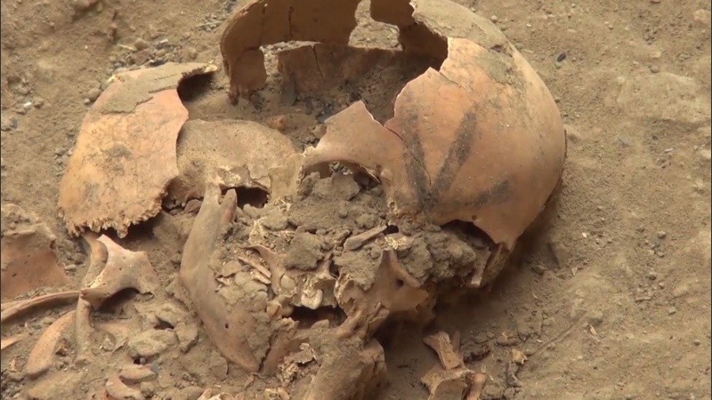 Se cree que los huesos habrían sido de personas de la comunidad moche.