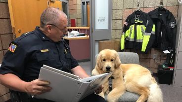 El can fue "sancionado" y tiene prohibida la entrada a la sala de donaciones.