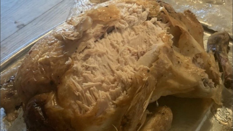 El felino tuvo una muy linda Navidad.