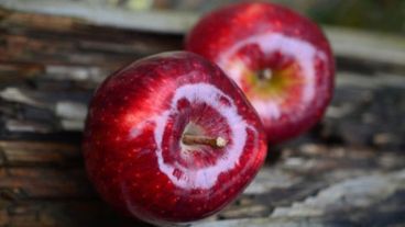 "Parece que el viejo adagio de un día de manzana era casi correcto", dijeron los científicos.