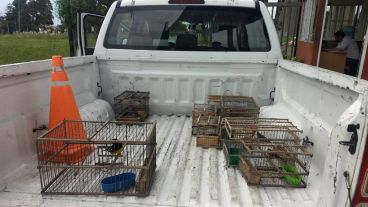 Un operativo de la GUM y Gendarmería terminó con el secuestro de aves.