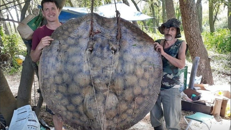 La raya fue encontrada este fin de semana cerca de Puerto Gaboto.