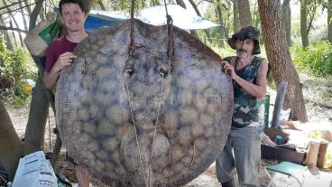 La raya fue encontrada este fin de semana cerca de Puerto Gaboto.