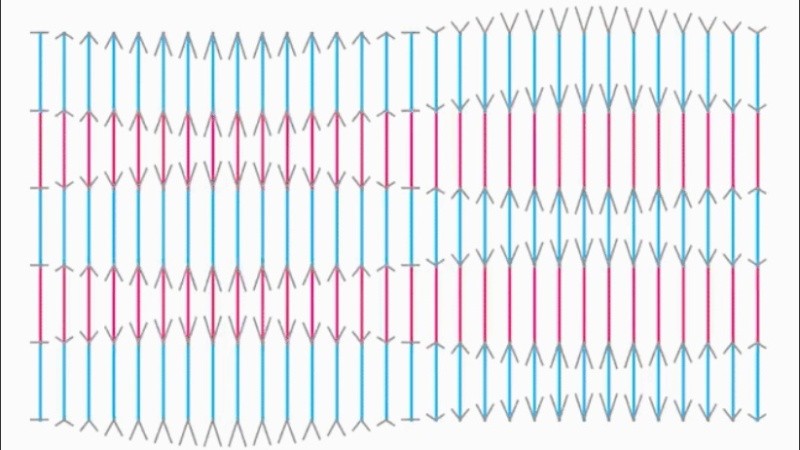 Una vez publicado el tweet las opiniones divididas no se hicieron esperar.