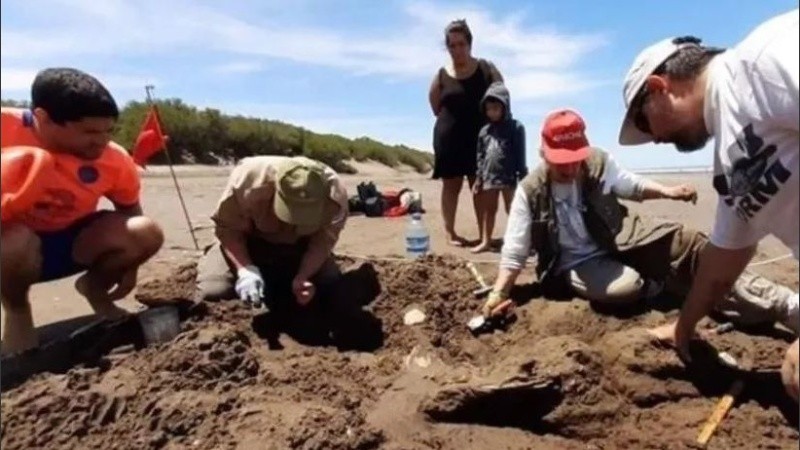 Son restos de megamamíferos que datan de entre 10 mil y 25 mil años de antigüedad.