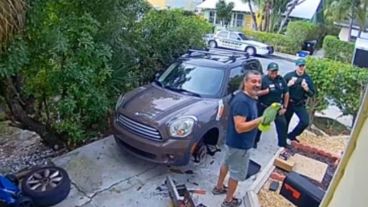 El loro solo quería salir de la jaula y terminaron llamando a la policía.