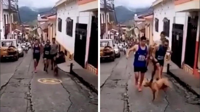 El deportista pidió disculpas y prometió enmendar su error.