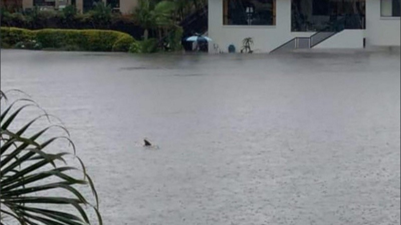 El usuario de Facebook Brendan Horne, de la localidad de Burleigh Heads (Queensland) compartió la imagen de la calle anegada y 