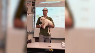 El docente  Ryan Price con el indefenso Buck entre sus manos.